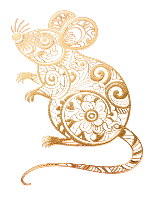 Rat