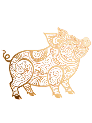 Pig